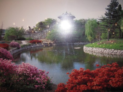 Медицинский туризм в Корее Медицинский туризм в Корее