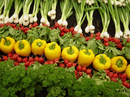 органические продукты питания органические продукты питания