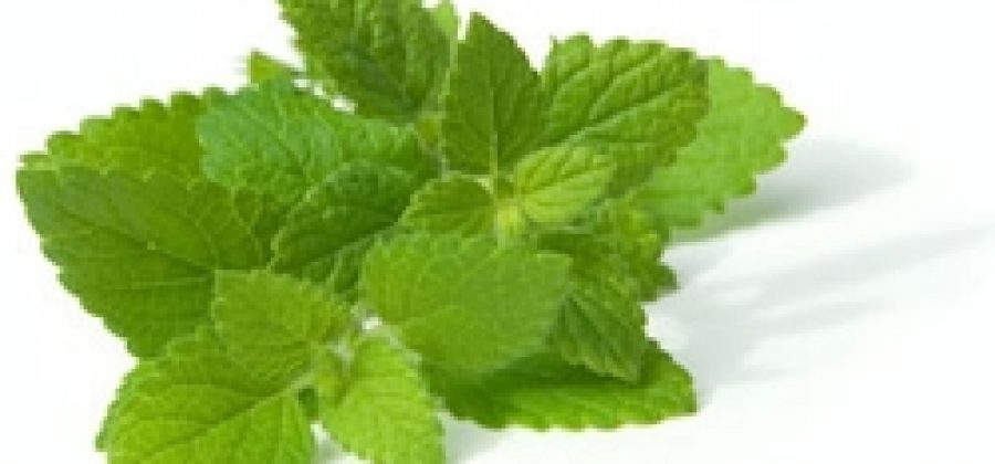 Опущение матки: народные средства