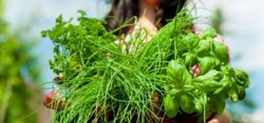 Как лечить гормональный сбой народными средствами?