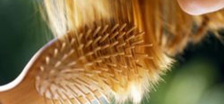 Что такое андрогенная алопеция у женщин?