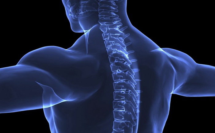 полисегментарный остеохондроз шейного отдела позвоночника полисегментарный остеохондроз шейного отдела позвоночника