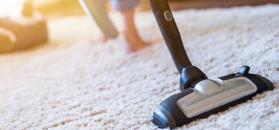 16 лучших средств от пылевых клещей в доме