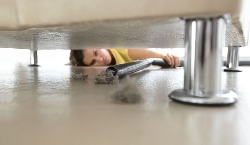 пылевые клещи как избавиться