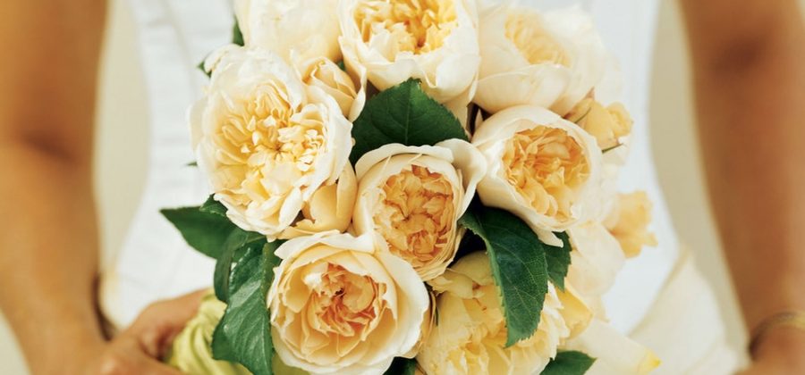 3 лучших способа вырастить розу из подаренного букета