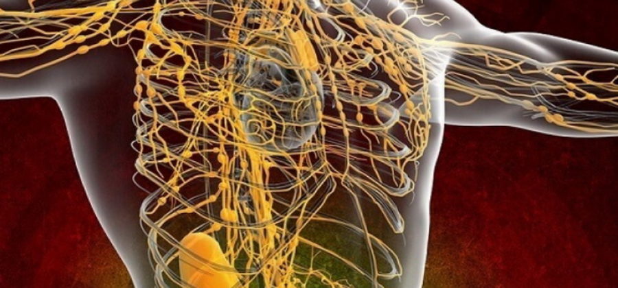 Как правильно чистить лимфу солодкой и энтеросгелем