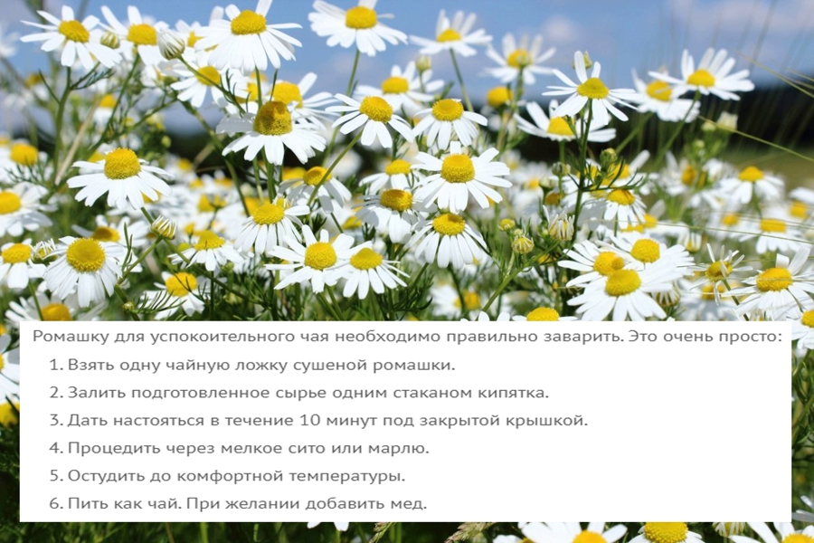 23 народных средства для лечения спины на все случаи жизни