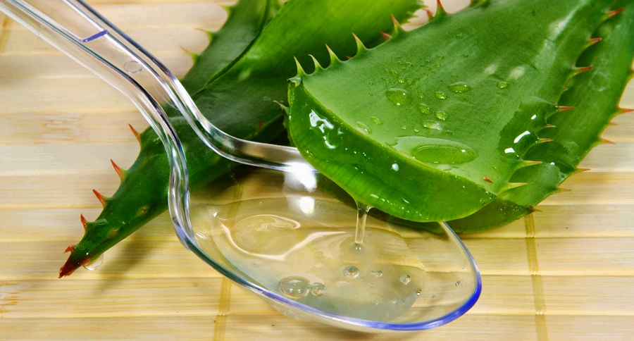 23 народных средства для лечения спины на все случаи жизни