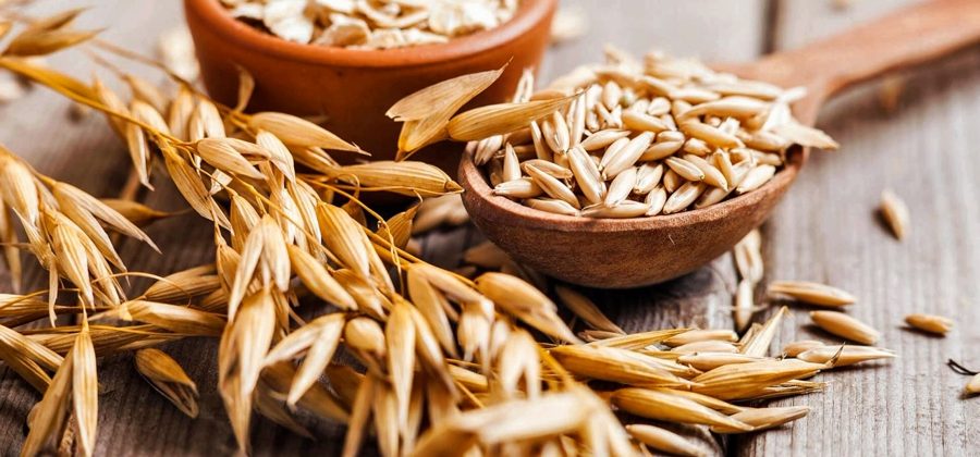 Овес для чистки печени — 5 лучших рецептов