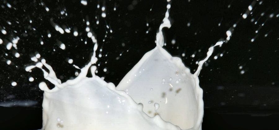 Почему не усваивается кальций, какие продукты вымывают кальций у женщин