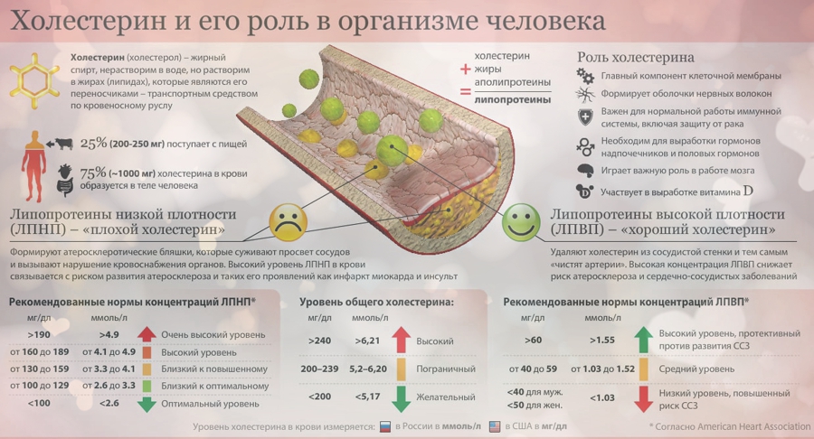 16 способов снизить холестерин без лекарств в домашних условиях