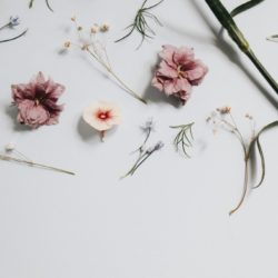 Что делать с засохшим букетом: 5 идей