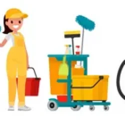 Как выбрать клининговую компанию: чистота с умом и комфортом