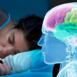 Мир здорового сна: кто такой врач-сомнолог и зачем он нужен