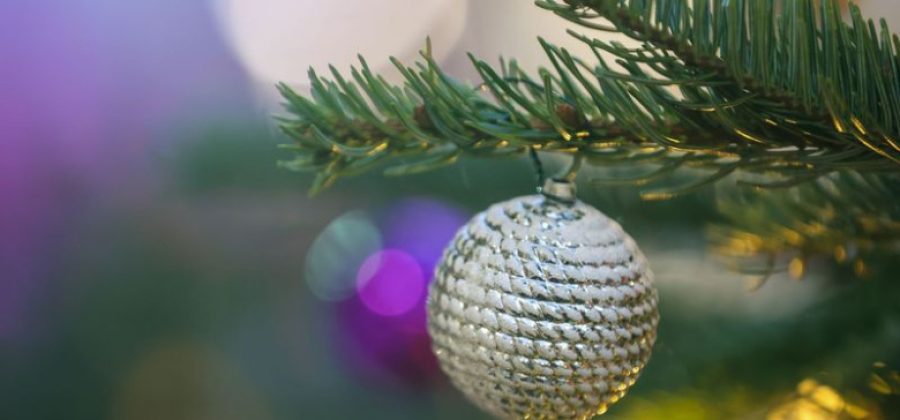 Биолог раскрыл, чем может быть опасна живая новогодняя елка