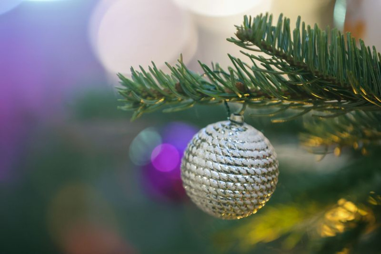 Биолог раскрыл, чем может быть опасна живая новогодняя елка