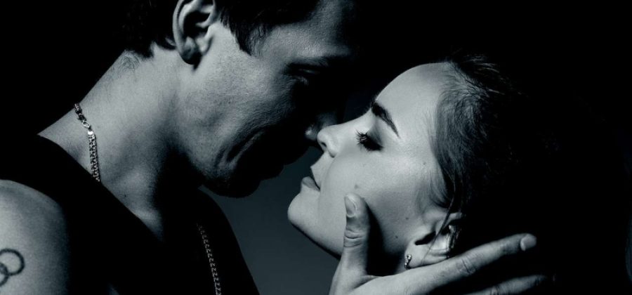 Дмитрий Соловьев и Дина Аверина: «Не даем разрастись бытовому конфликту»