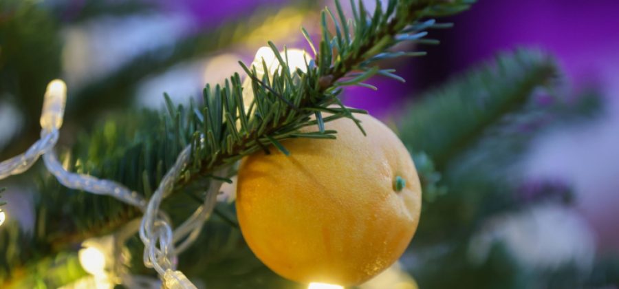 Эколог предупредил о неочевидной опасности искусственных елок