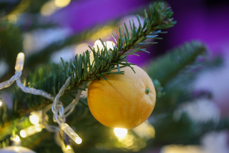 Эколог предупредил о неочевидной опасности искусственных елок