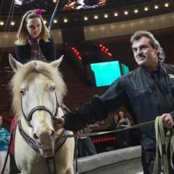 Лошадиная доза заботы. Дрессировщик Экк раскрыл все секреты цирковых коней