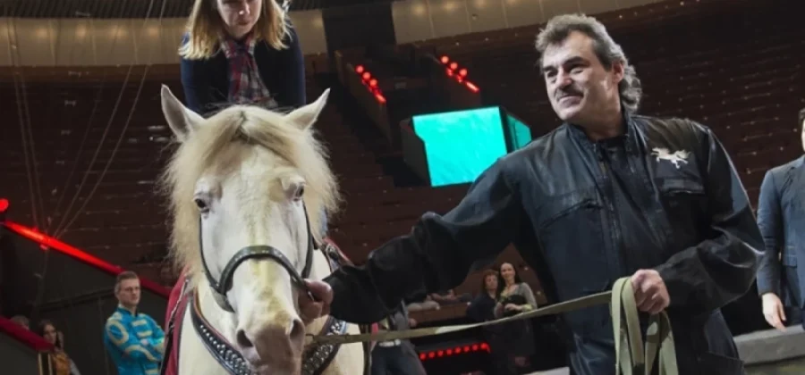 Лошадиная доза заботы. Дрессировщик Экк раскрыл все секреты цирковых коней