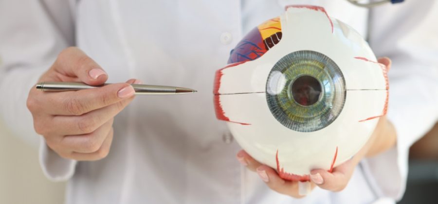 Офтальмолог опровергла популярный миф о близорукости