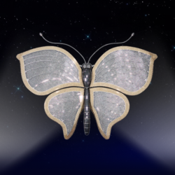 Показы фильмов «Бриллиантовой бабочки» посетили почти 16 тыс. зрителей