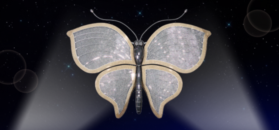 Показы фильмов «Бриллиантовой бабочки» посетили почти 16 тыс. зрителей