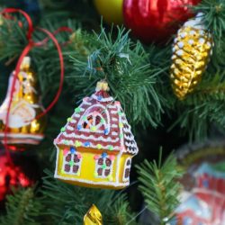 Россиян предупредили об опасностях новогодней елки