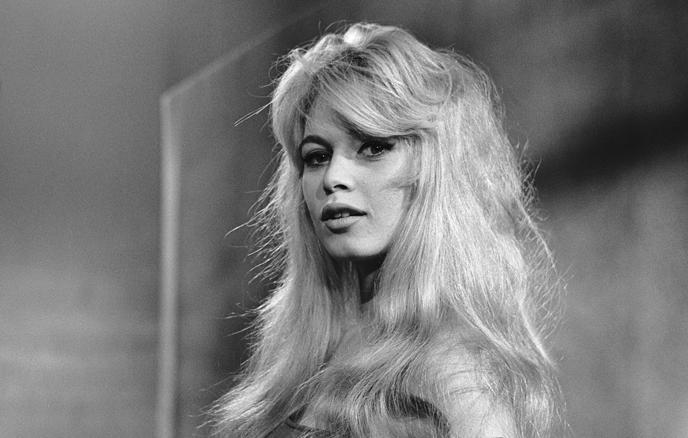 Швыдкой: Брижит Бардо олицетворяла веру в жизнь