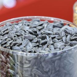 Стоматолог предупредила, чем грозит привычка грызть семечки