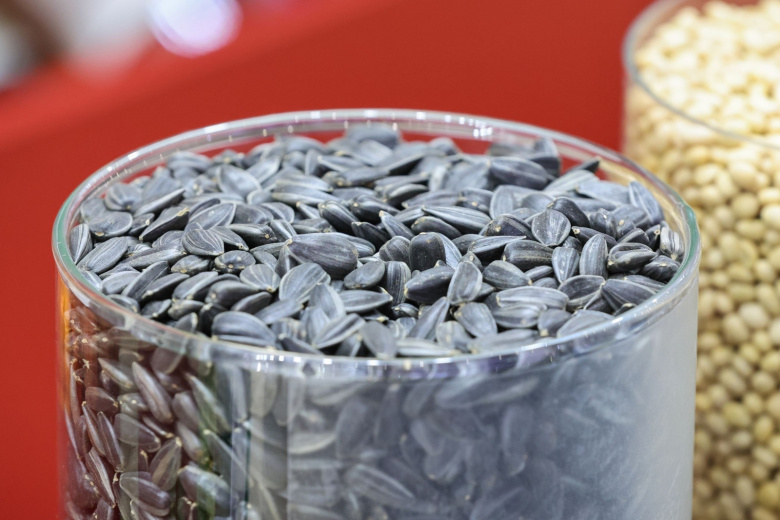 Стоматолог предупредила, чем грозит привычка грызть семечки