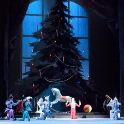 В Госдуме предложили способ снизить цены на балет «Щелкунчик» в Большом