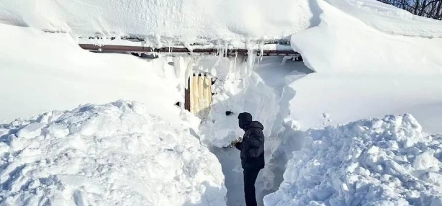 Берлога вместо остановки и тоннель до Ozon: как жители Камчатки справляются с аномальной зимой