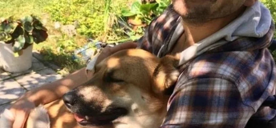 Имущество Полежайкина из «Папиных дочек» объявили в розыск — узнали, что об этом думает он сам