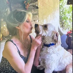 Названа точная причина смерти Брижит Бардо — спустя 11 дней после того, как ее не стало