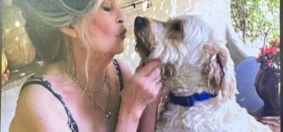 Названа точная причина смерти Брижит Бардо — спустя 11 дней после того, как ее не стало