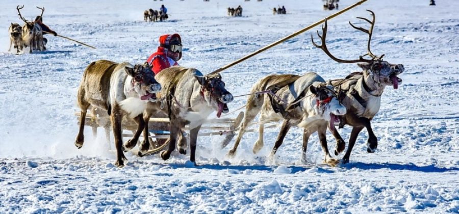 В РФ выпустят аудиокниги на языках народов Севера, Сибири и Дальнего Востока