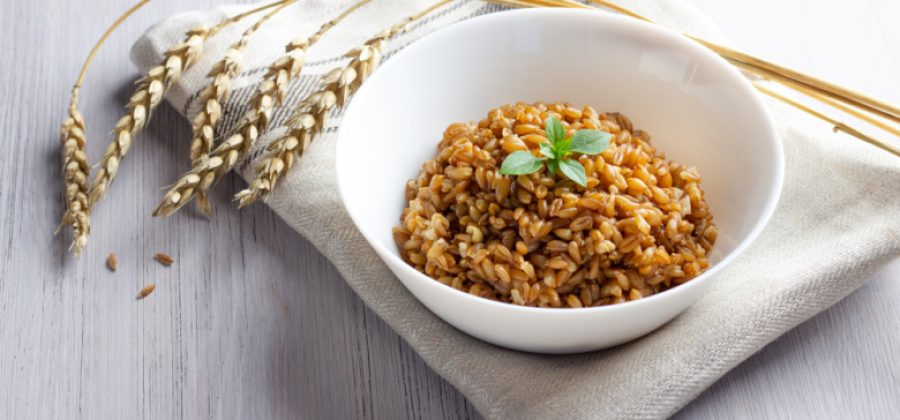 Назван древнейший злак, богатый клетчаткой