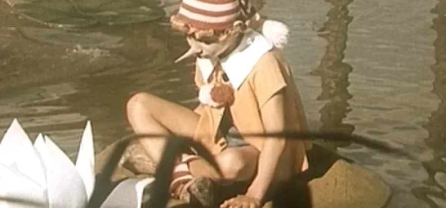 Ответ за Буратино. Утренник обернулся миллионным ущербом