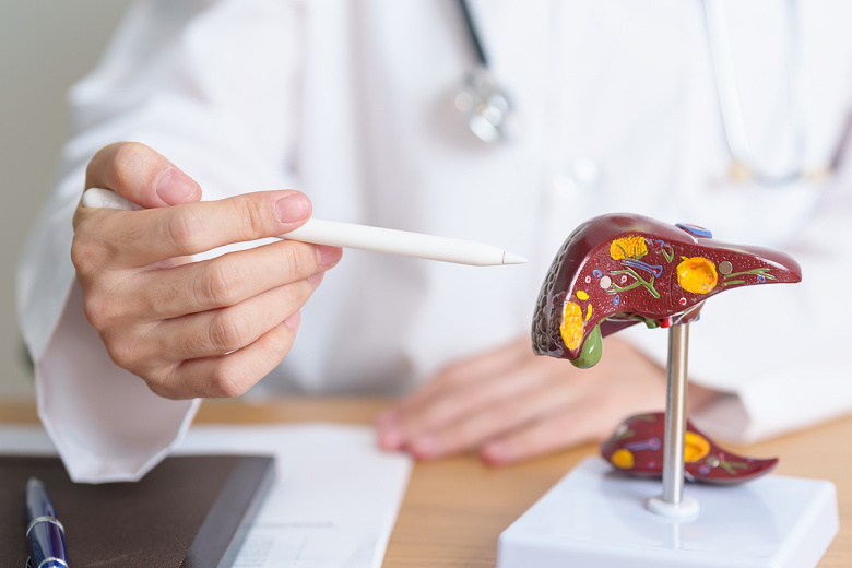 Врач развеяла главный миф о причинах цирроза печени