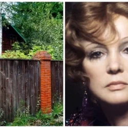 15 лет споров, дача в разрухе. Что стало с наследством Гурченко