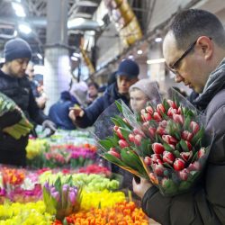 Аллерголог дала совет, какие цветы лучше не дарить на 8 Марта
