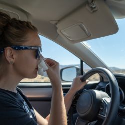 Автомобилистам дали советы, как защититься от аллергии за рулем