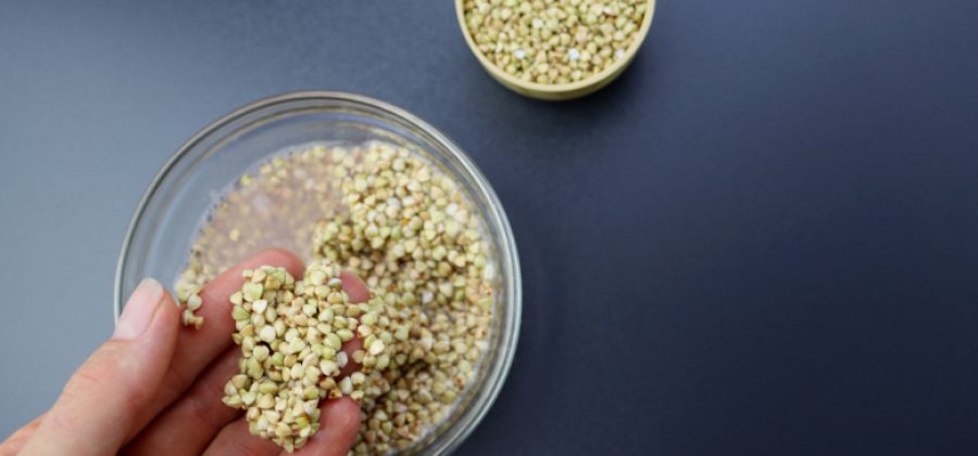 Диетолог сравнила пользу зеленой и обычной гречки