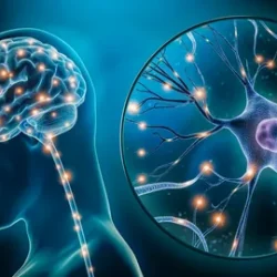 Психосоматика и плохое самочувствие: как разорвать замкнутый круг