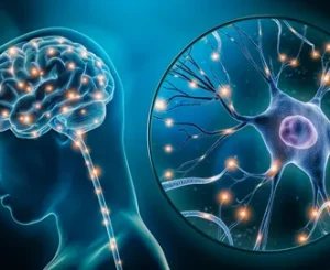 Психосоматика и плохое самочувствие: как разорвать замкнутый круг