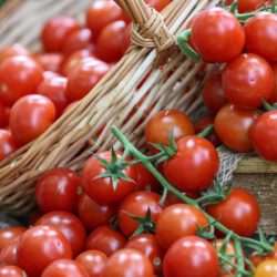 Названа категория людей, кому нужно с осторожностью есть помидоры