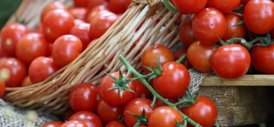 Названа категория людей, кому нужно с осторожностью есть помидоры