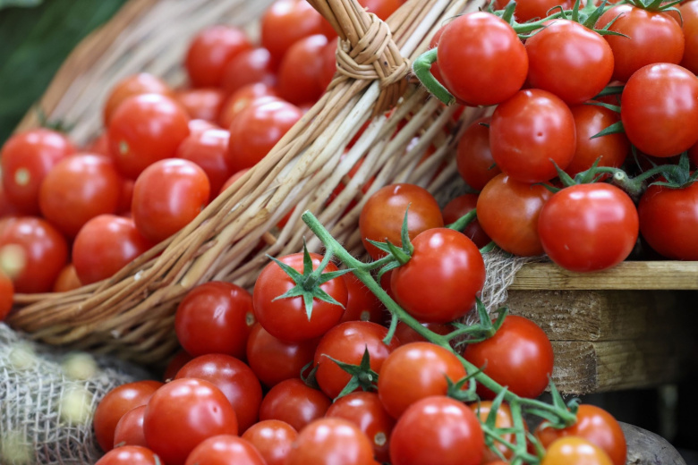 Названа категория людей, кому нужно с осторожностью есть помидоры